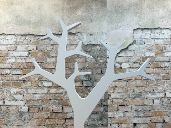 Image 1 of Árbol sueco