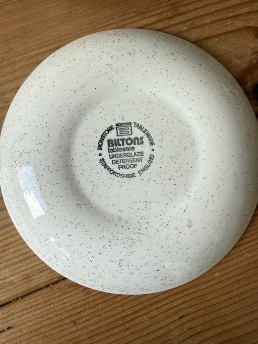 Einzigartiges Set: 12 Biltons Celtic Rose Kuchenteller – PERFEKTER ZUSTAND