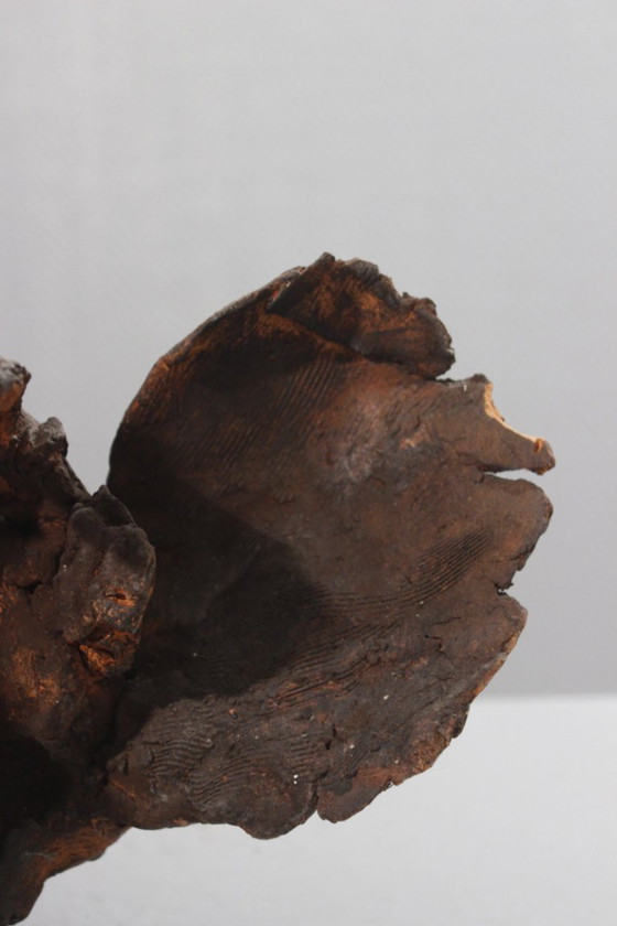 Image 1 of Philippe Conficconi (1962-2019) Large terracotta grouper animal sculpture