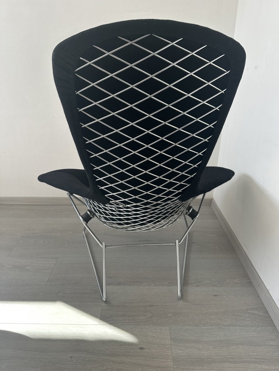 Image 1 of Fauteuil oiseau Knoll et pouf Bertoia