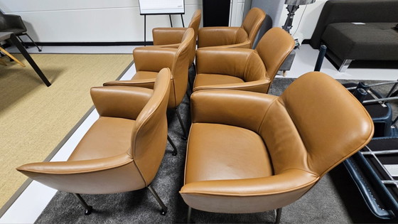 Image 1 of 6x leolux gyon eetkamerstoel laag tour; bek binnenleidingzijde/ buitenzijde = 19427 noli 272 oliva; onderstel epoxy