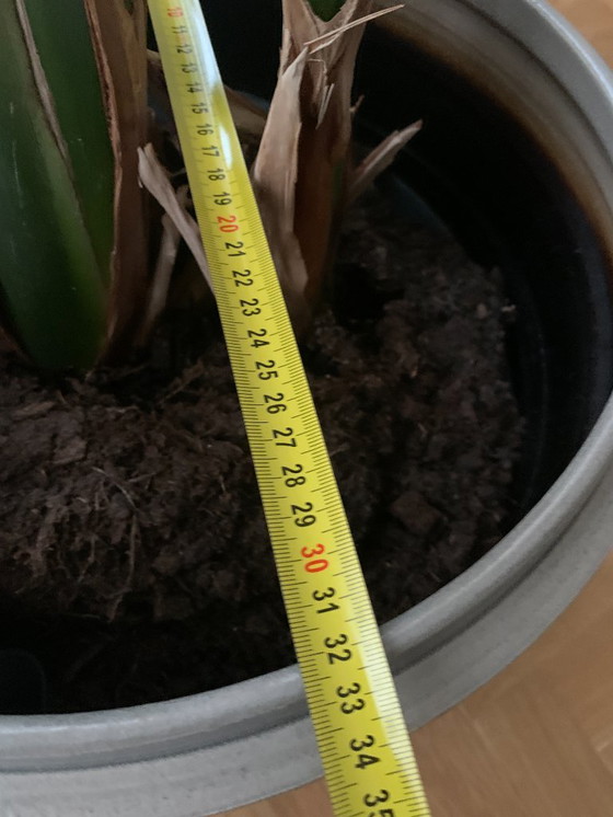 Image 1 of Set of 2 Serax indoor decorative pots