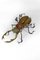 Tavolino da caffè Scarab di François Melin, 1970 – Libri d'arte, Metal, Glass (photo 8 of 21)
