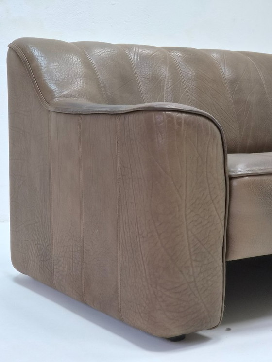 Canapé deux places DS 44 en cuir marron Buffalo de De Sede – Canapés 2 places, Leather (photo 10 of 15)