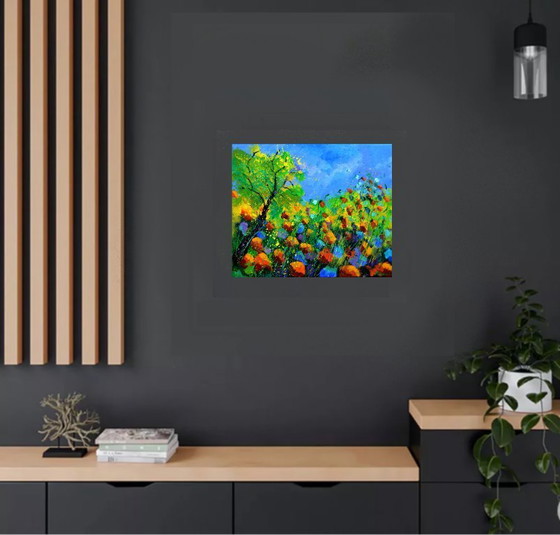 Image 1 of papaveri rossi