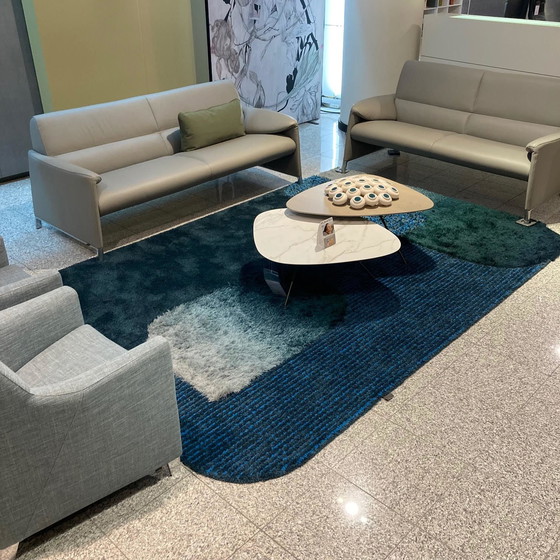 Image 1 of Leolux Seasons rug - 225x340