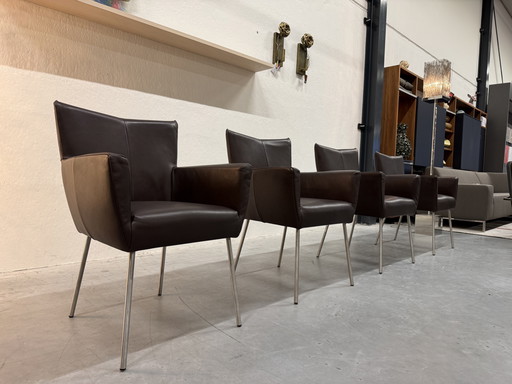 Chaise de salle à manger Moka en cuir chocolat, disponible en stock (4 modèles).