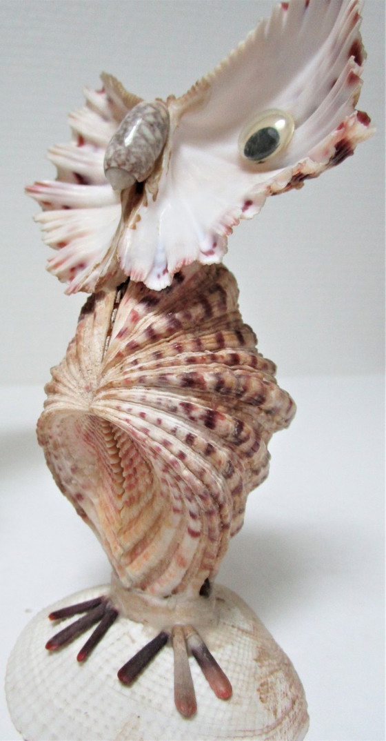 Image 1 of due gufi scultura vintage in conchiglia