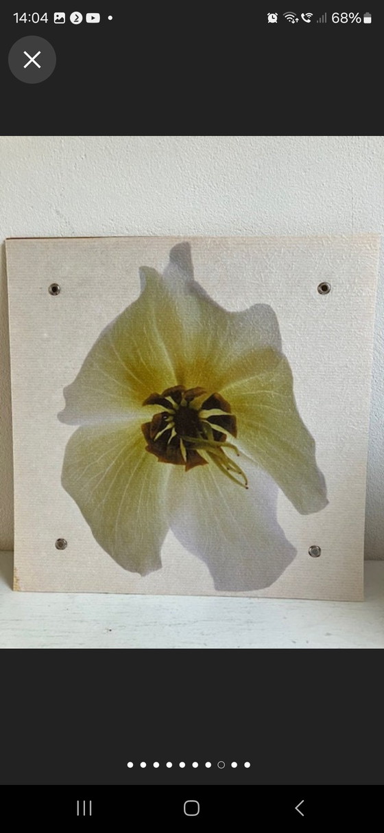 Image 1 of Lampada da parete IKEA Marion 1995 Pannelli intercambiabili