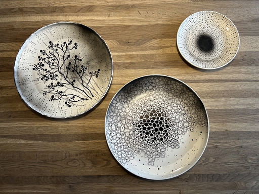 Botanical plates Hedwig van Onna