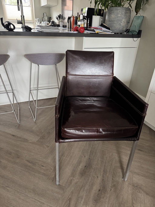 6 sedie da pranzo o da ufficio KFF Texas Exclusiv