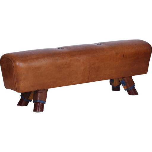 Banc de gymnastique vintage en cuir pour cheval d'arçon, Tchécoslovaquie années 1930