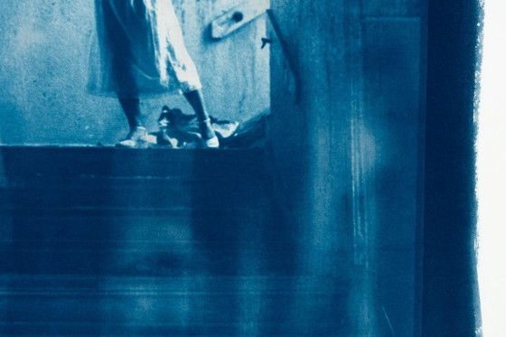Wondering, Original Photography 1976 / Cyanotype 2026, Paper, Blue (photo 5 of 7)