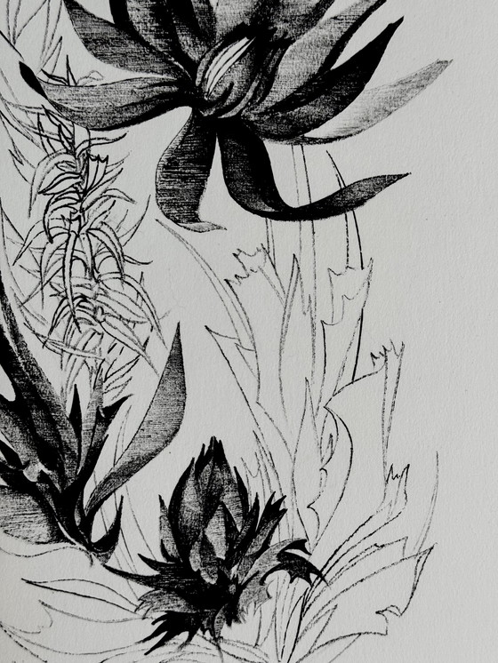 Image 1 of Eugene Eechaut (1928-2019) - Floral ink composition - 1970, signed