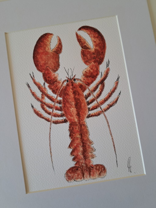 Original watercolor painting of a lobster, including black frame