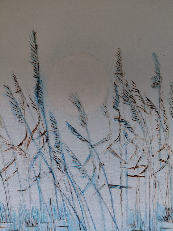 Image 1 of "The Flight in Harmony" Gallery Suncorner