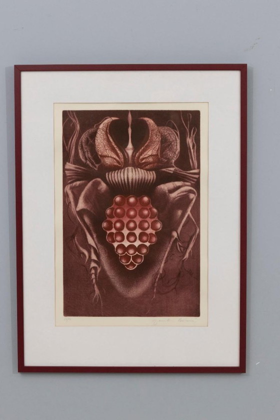 Image 1 of Stampa in edizione limitata “Vinný brouk”, Jaroslava Pešicová, 1982, Cecoslovacchia