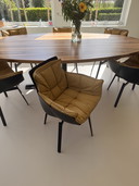 6 Fauteuils en coque PATRICIA URQUIOLA B&B ITALIA