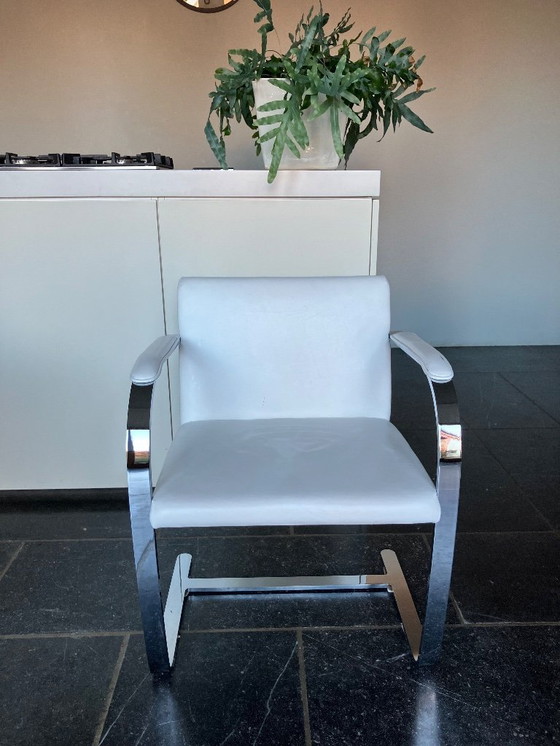 Image 1 of Set mit 4 Nachbildungen von Brno-Stühlen