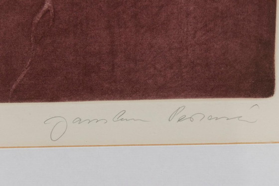 Image 1 of Stampa in edizione limitata “Vinný brouk”, Jaroslava Pešicová, 1982, Cecoslovacchia