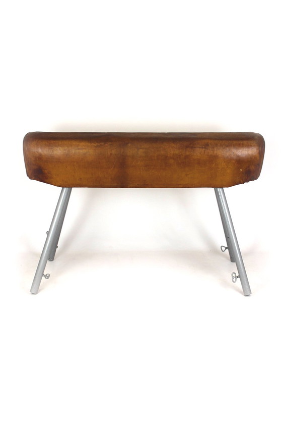 Image 1 of Vintage Gymnastic Pommel Horse In Leather, 1950S