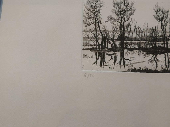Image 1 of Ans van der Zweep-Heijmen Etching compilation - Cormorants in the Gelderland landscape