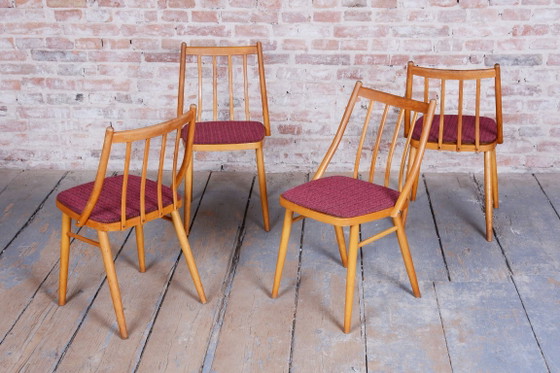 Set of Four Original Mid-Century Chairs, by Antonín Šuman, Beech, Czech, 1960s – Dining chairs, Textile, Wood (photo 4 of 10)