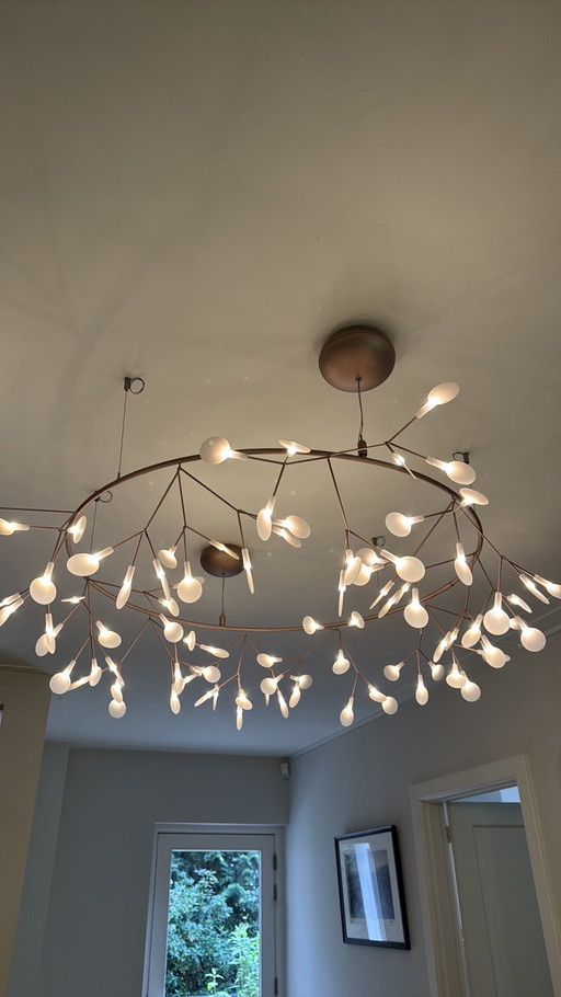 The small big O heracleum Moooi