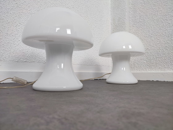 Image 1 of Set 1970S - s.e.c. France - mushrooms 