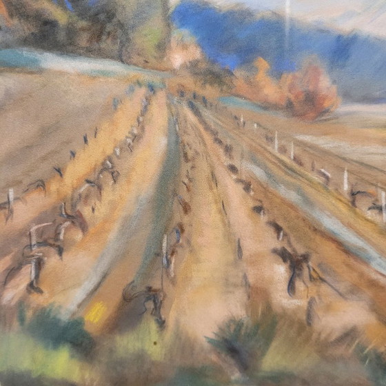 Image 1 of Pintura al pastel “Viñedo en la Provenza”, Escuela Francesa, p. s. XX – Francia