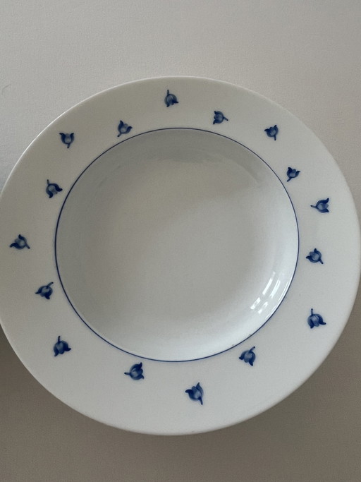 LALIQUE servies Muquet Blue