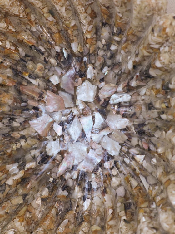 Image 1 of SPECTACULAR 1960S FRENCH SET OF CAST RESIN SCULPTURES