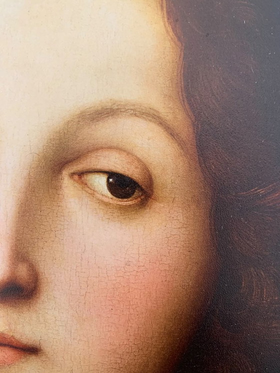Raphael Sanzio "San Sebastiano", Stampa artistica di qualità museale su pannello rigido (45x36 cm) (foto 2 di 5)