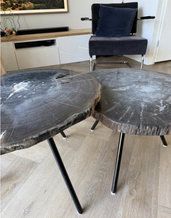 Image 1 of Salontafelset versteend hout