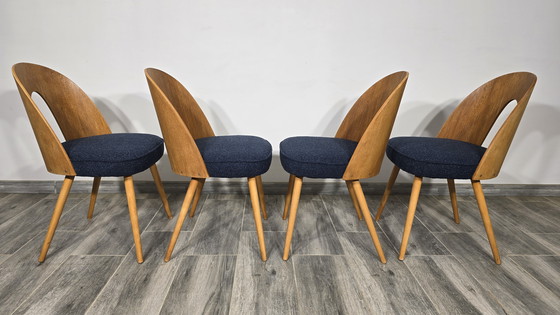 Image 1 of Esstischstühle von Antonin Suman, 1960er Jahre