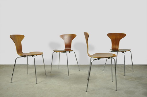 Fritz Hansen / Vintage Mosquito Dining Chairs / Arne Jacobsen / 1960S Denmark