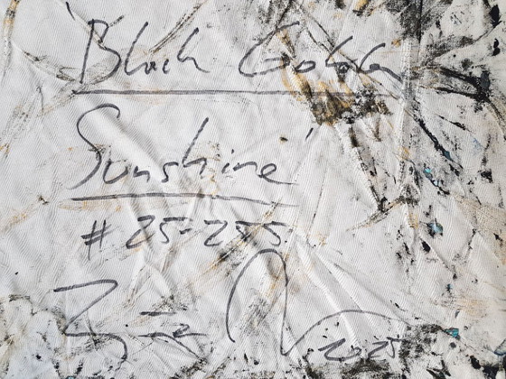 Image 1 of Jürgen Angeler - Sol negro y dorado