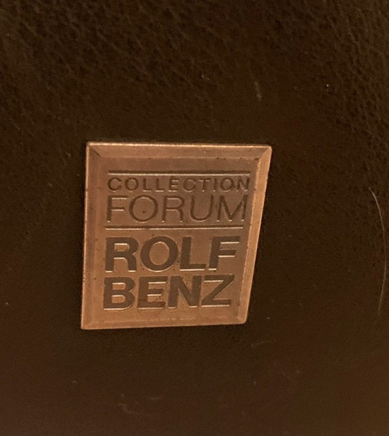Poltrona Rolf Benz – Poltrone, Leather, Metal (photo 5 of 5)
