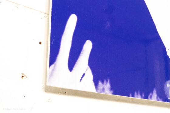 Image 1 of Bono con Fan - Concerto Rock Torhout Werchter (Belgio) 1983