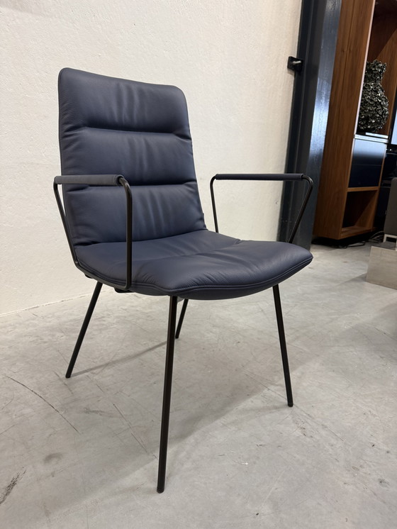 Image 1 of (1) KFF Arva Light Dining Chair with Arms Blue Leather