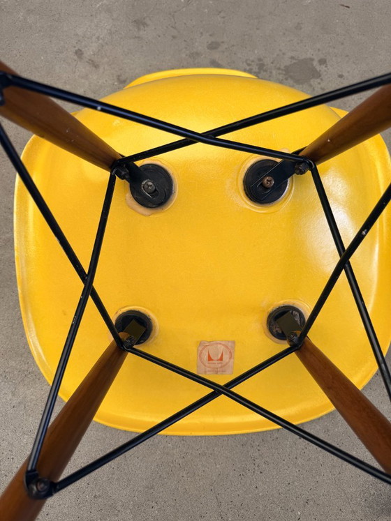 Sedia Eames DSW di Herman Miller in fibra di vetro – Sedie da pranzo, Metal, Wood (photo 7 of 9)