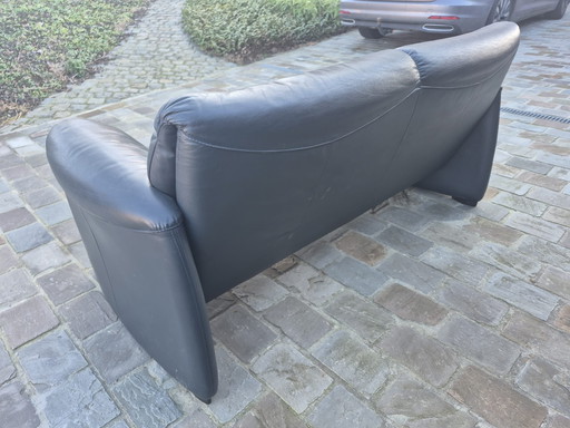 Cuero de dos plazas (Leolux)