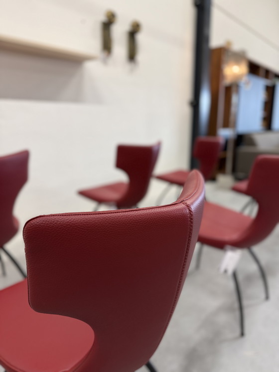 Image 1 of 6 Leolux Callas dining chair Senso Brick