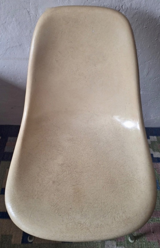 Image 1 of Früher DSX-Fiberglasstuhl von Charles & Ray Eames für Herman Miller, 1950er Jahre