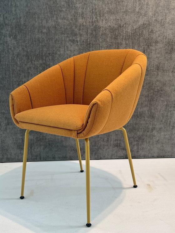 Image 1 of MONTIS Luna M0135