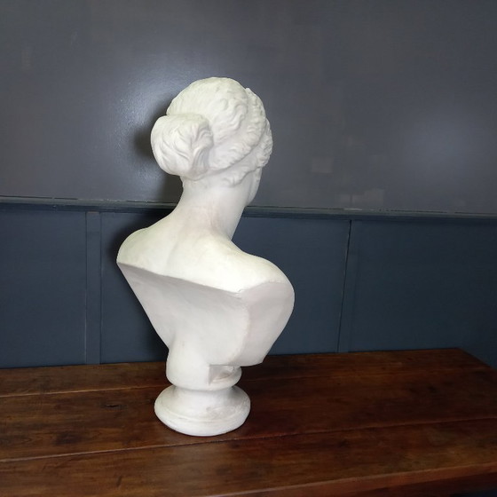 Image 1 of Busto excepcionalmente grande de tamaño natural de la Venus de Milo, busto grande de yeso