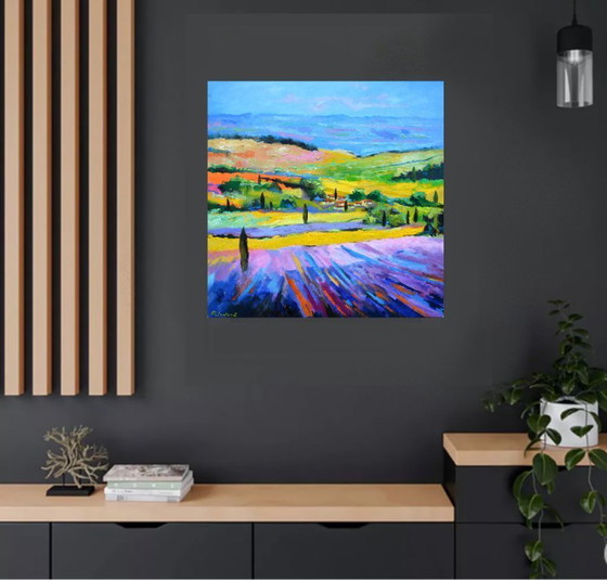 Image 1 of Provenza colorata