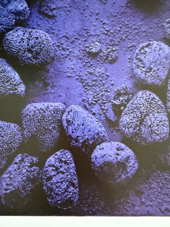 Image 1 of Yves Klein (1928-1962), Relieve esponja azul: RE19, 1958, © VG Bild-Kunst, Bonn 2008, Impreso en Alemania