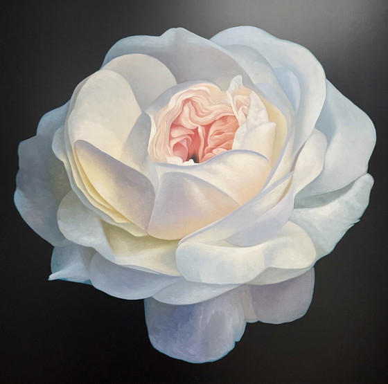 Image 1 of Franco Campana: "White Rose". Beautiful colors!