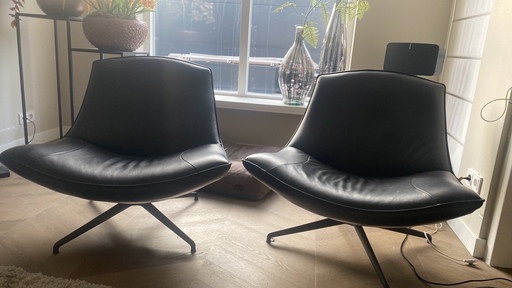 2 fauteuils Enzo Luca Tulipano